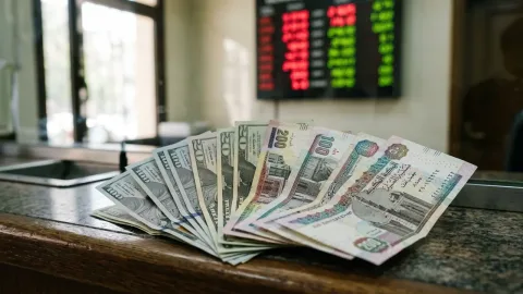 سعر الدولار في مصر اليوم الخميس 22 أكتوبر 2026.. الدولار يتراجع إلى 54.38 جنيه والريال السعودي عند 14.48