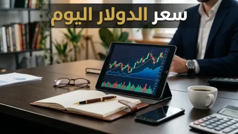 سعر الدولار في مصر اليوم الاثنين 26 أكتوبر 2026.. الدولار يقفز إلى 55.53 جنيه