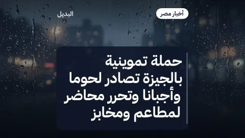 حملة تموينية بالجيزة تصادر لحوماً وأجباناً وتحرر محاضر لمطاعم ومخابز