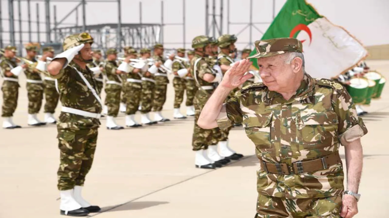 "جــول ضائع" قنـاة بث algérie – rd congo مباراة الجزائر والكونغو الديمقراطية ضمن منافسات دور الـ16 في كأس أمم إفريقيا