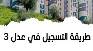 التسجيل في عدل 3 2024 بالحاسوب—–
