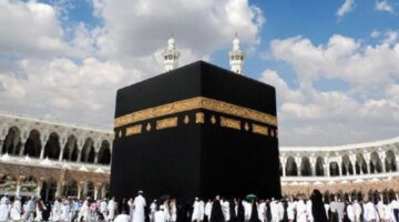 3956b967-fb12-493b-8c39-4ddad21d0b3b-800×500