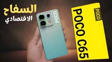 IMG_٢٠٢٤٠٨٢٨_١٤٥٠١١