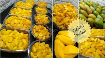 تخزين المانجو في الفريزر