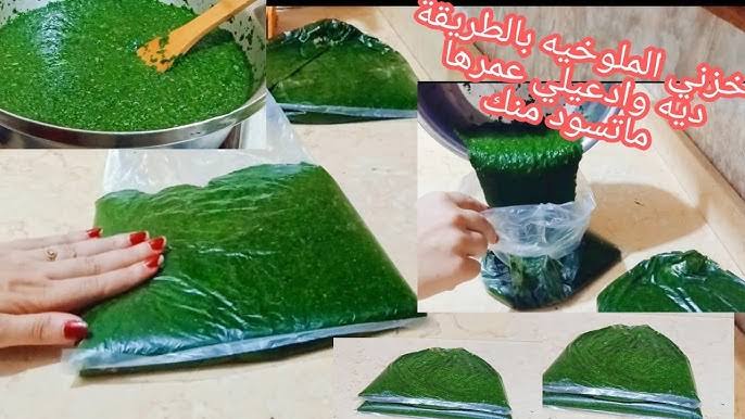 images – 2024-08-09T191229.180 images – 2024-08-09T191229.180