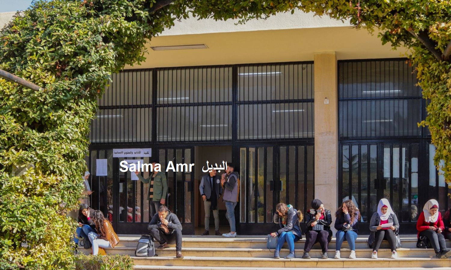 نتائج امتحانات السنة التحضيرية 2024 نتائج امتحانات السنة التحضيرية 2024