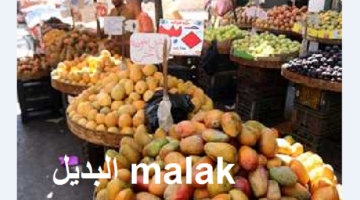أسعار الفواكه اليوم الأحد 1 سبتمبر 2024