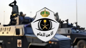 images-2024-07-24T123357