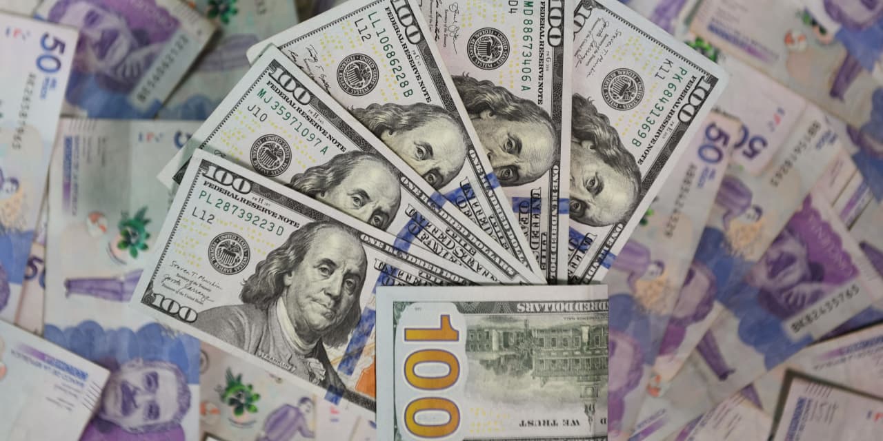 مفاجأة سعر سعر الدولار مقابل الجنيه اليوم الثلاثاء 29-10-2024