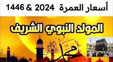 تبدأ من 27 ألف بس !! أسعار عمرة المولد النبوي 2024 باقات كتير اختار اللي يناسبك كل ما تحتاج معرفته