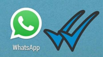 WhatsApp Image 2024-10-23 at 9.53.24 PM