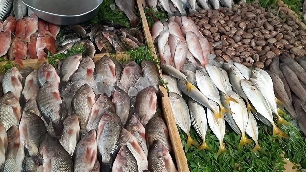 سعر السمك اليوم الجمعة 6 ديسمبر 2024