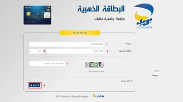 709085C5-A692-48EE-B406-2787BE69F795