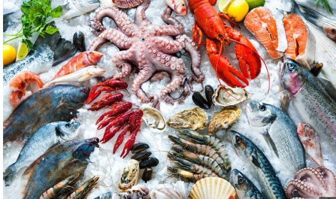 أسعار السمك والجمبري اليوم.. تحديثات حية عن أسعار المأكولات البحرية في الأسواق المصرية