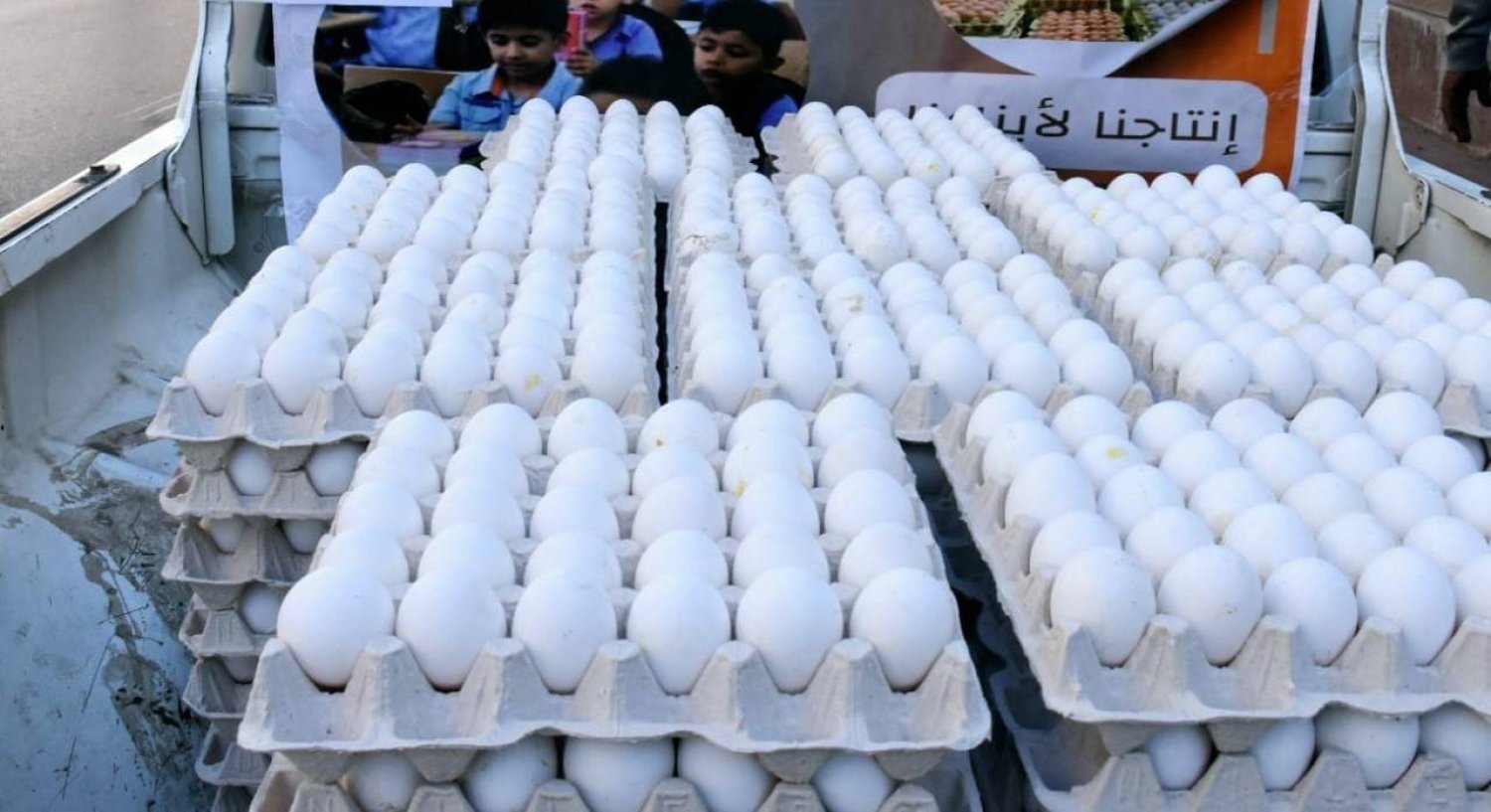 مفاجأة في سعر كرتونة البيض نهاية تعاملات اليوم.. الكرتونة بكام!!