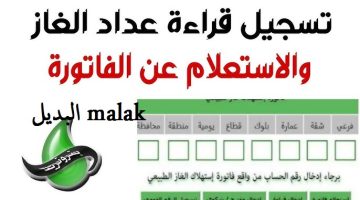 الاستعلام عن فاتورة الغاز لشهر نوفمبر 2024