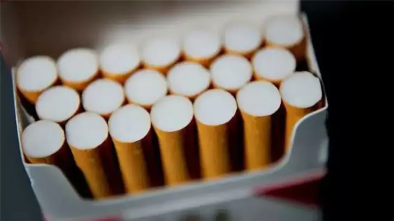 أسعار السجائر اليوم السبت 10 يناير 2026