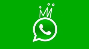 images – 2024-12-24T205716.767