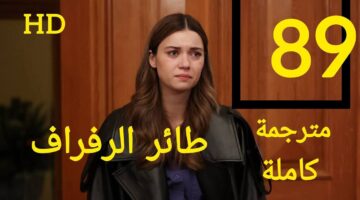 maxresdefault (11) (1)