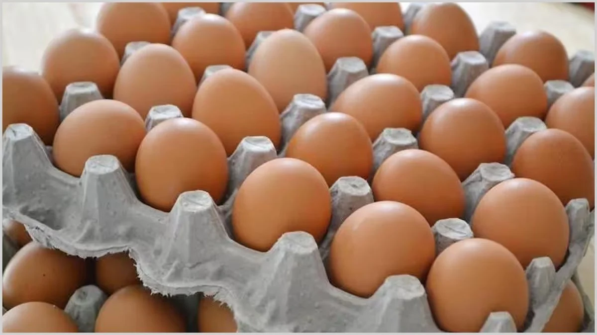 اشتري اليوم .. سعر كرتونة البيض اليوم للمستهلك بجميع الأسواق المصرية 29 ديسمبر 2024