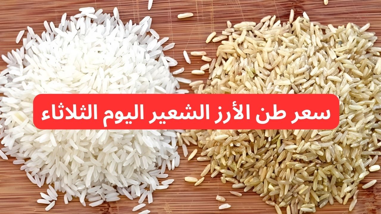 “بكام رفيع وعريض الحبة”.. سعر طن الأرز الشعير اليوم الثلاثاء 24-12-2024 تفاجي الكل