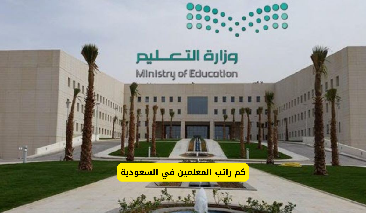 سلم رواتب المعلمين 1446