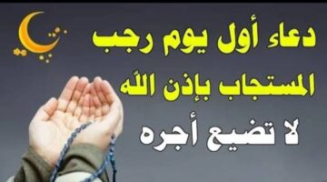 IMG_٢٠٢٥٠١٠١_٠٨٣٠٠٣ (1)