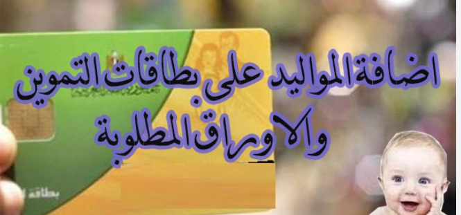 elaosboa23819 elaosboa23819