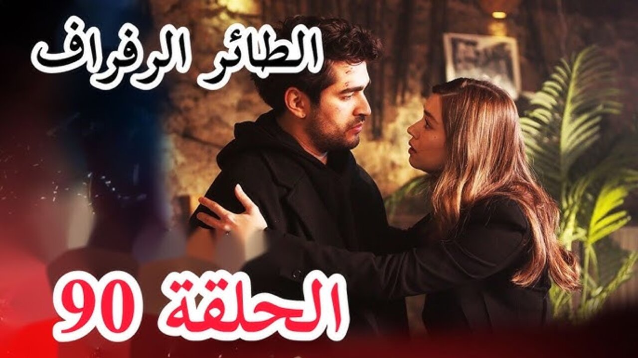 تــابــع مسلسل طائر الرفراف الحلقة 90 قصة عشق وقناة TRT 1