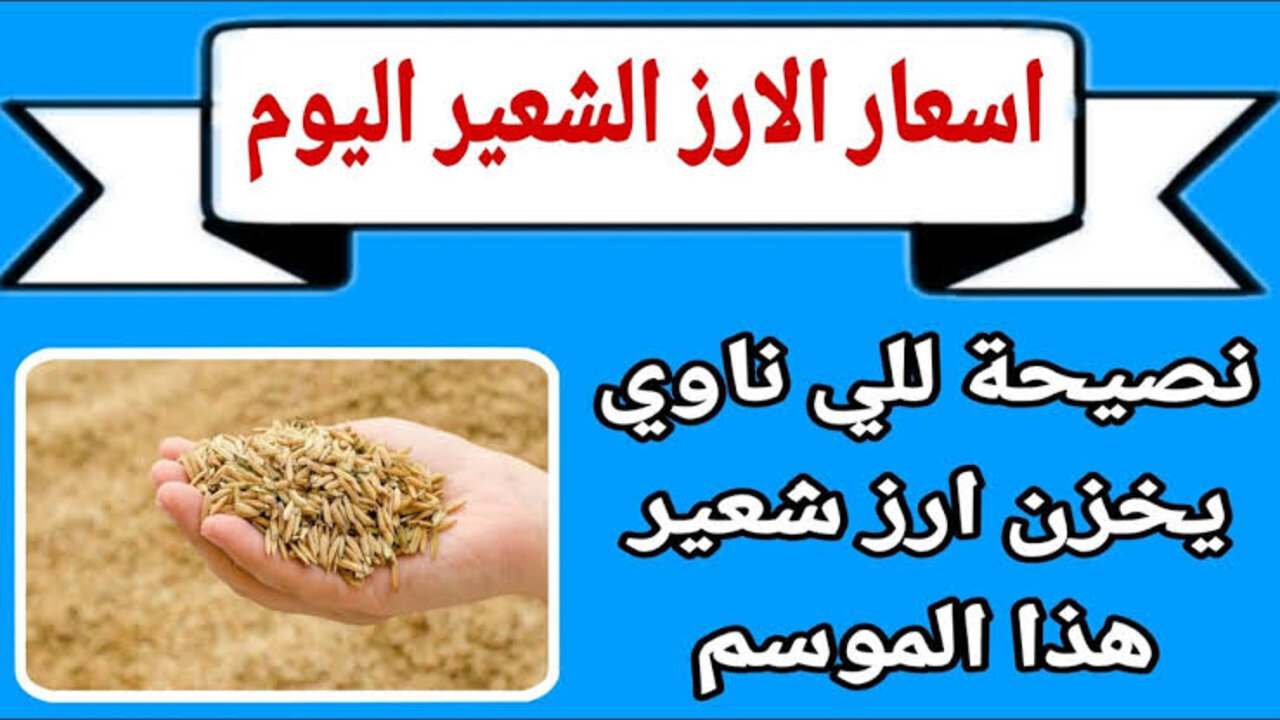 سعر طن الأرز الشعير اليوم في الأسواق المصرية.. اشتــري وخــزن قبـل رمضــان