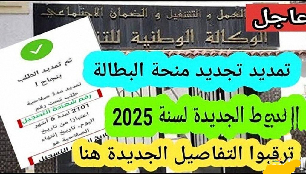 الوطنية للتشغيل: طريقـة تجديد منحة البطالة 2025 الجزائر كل 6 شهـور عبر anem.dz خطوة بخطوة.. هـذه هي الشروط