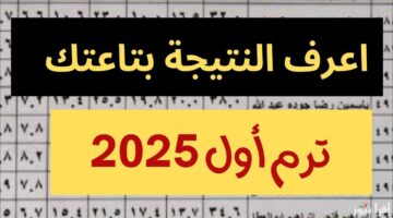 موعد إعلان ننتيجة الصف الرابع والخامس والسادس الابتدائي 2025 وخطوات الاستعلام بالاسم ورقم الجلوس
