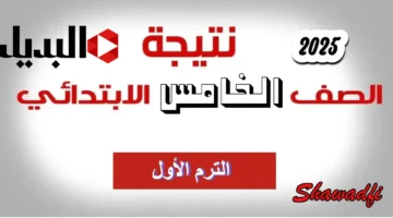 بالاسم ورقم الجلوس.. رابط نتيجة الصف الخامس الابتدائي 2025 الترم الأول فور ظهورها رسميًا