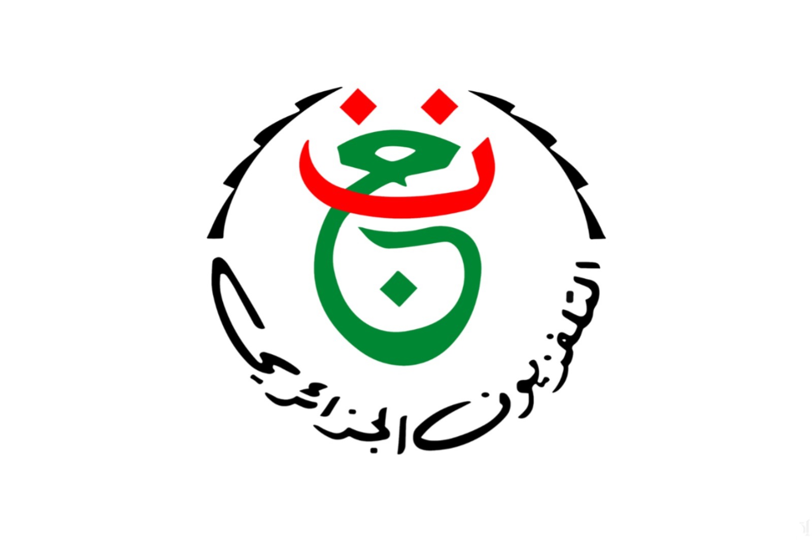 تـــابع البطولة الإفريقية الأن.. تردد القناة الجزائرية الأرضية على نايل سات