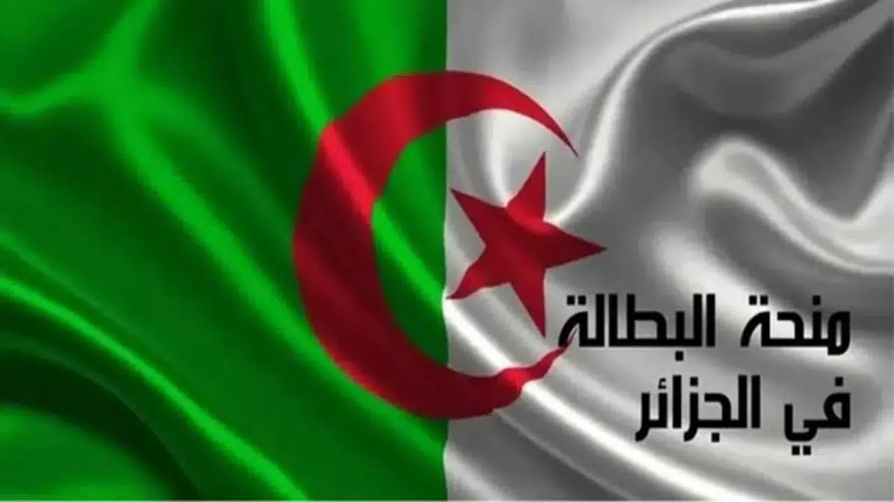 رابط تجديد منحة البطالة 6 أشهر بداية عام 2025 في الجزائر