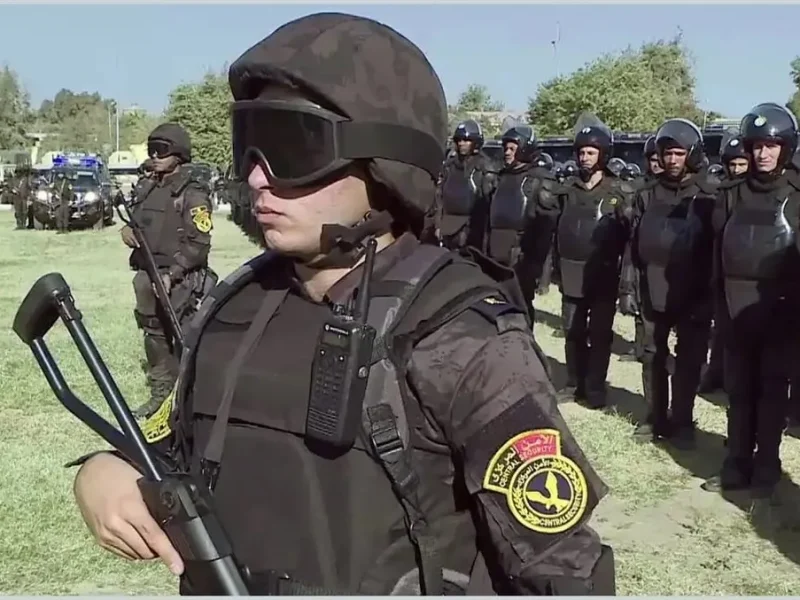 image_search_1739110525375