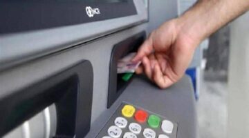 image_search_1739887500771