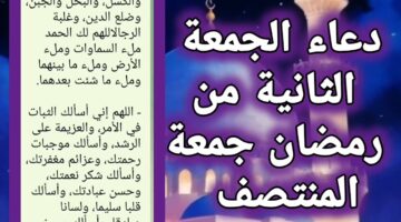 maxresdefault (1) (31) (1)