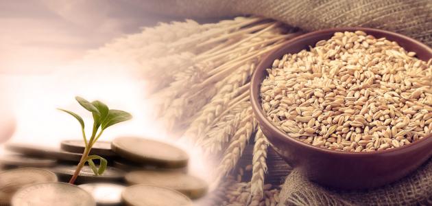 زكاة الفطر 2025 في لبنان