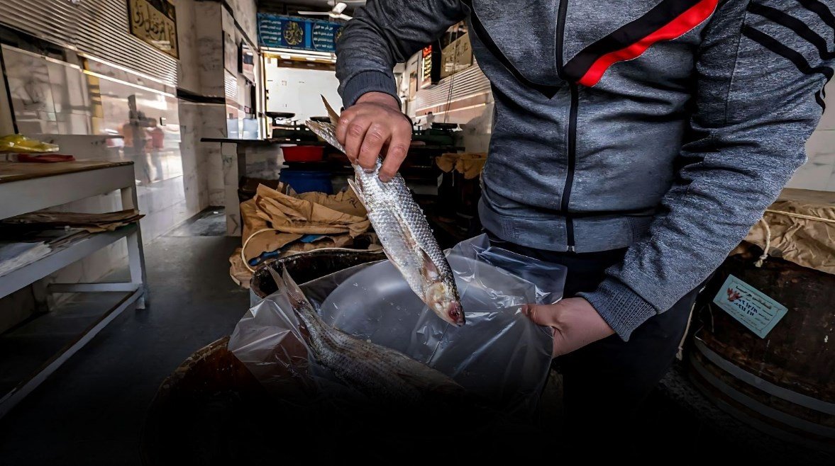 أسعار الرنجة والفسيخ في الأسواق مع دخول عيد الفطر المبارك