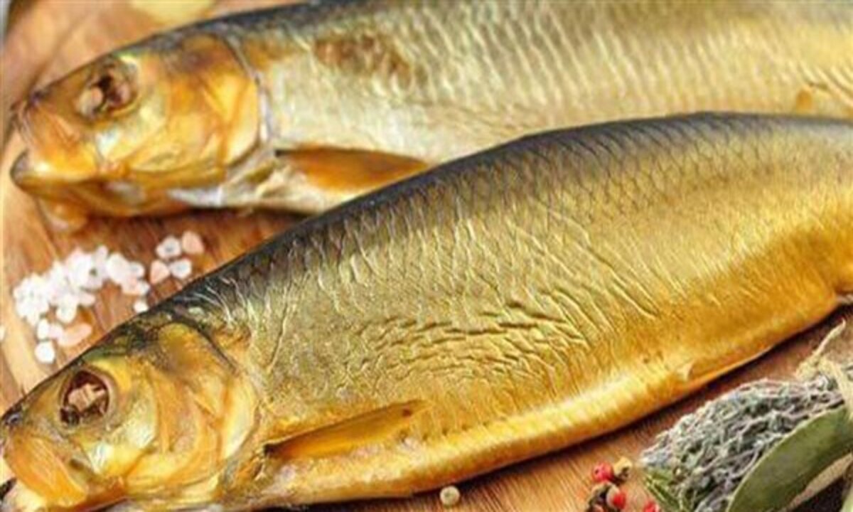 ارتفاع سعر الفسيخ والرنجة اليوم السبت 19 إبريل 2025.. شم النسيم هيولعها