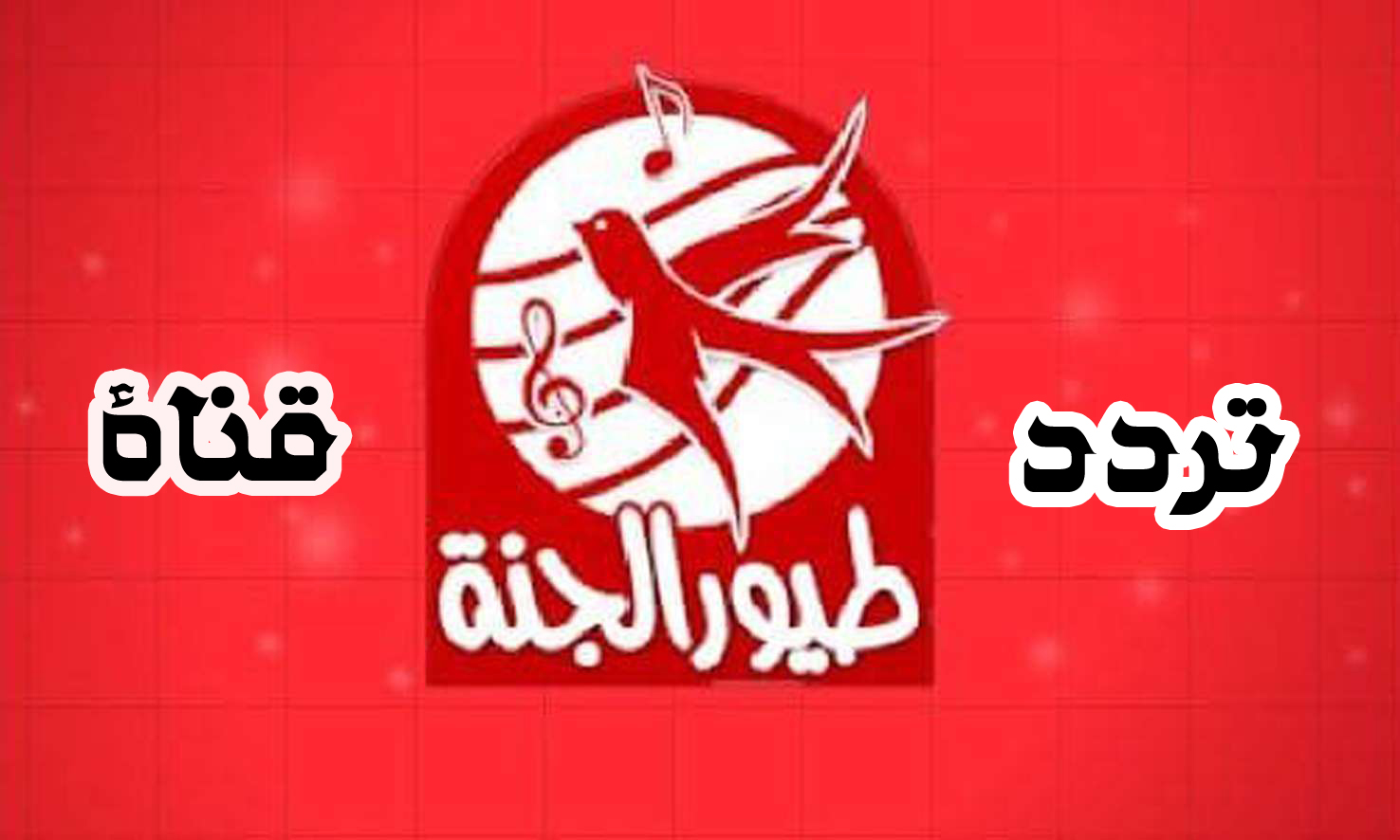 “نزلها واستمتع”.. تردد قناة طيور الجنة الفضائية 2025 على الأقمار الصناعية