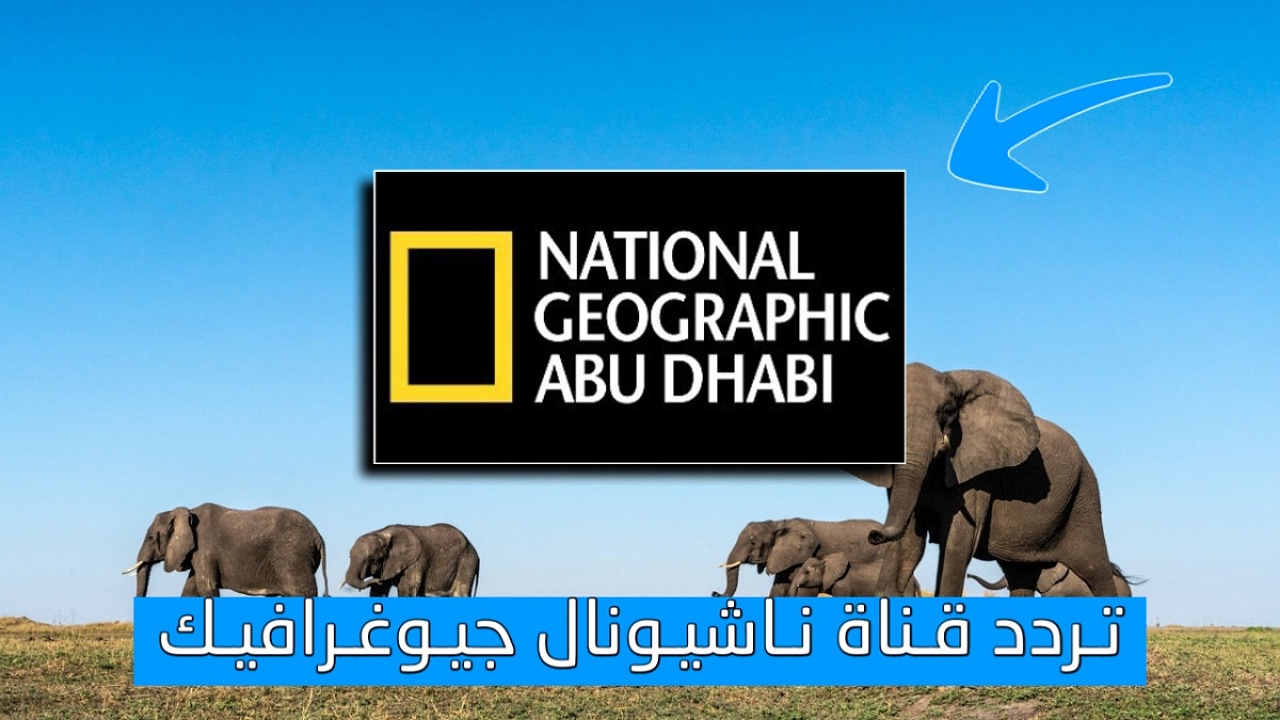 تردد قناة ناشيونال جيوغرافيك الجديد 2025 تردد قناة ناشيونال جيوغرافيك الجديد 2025