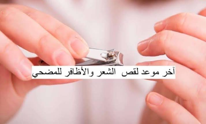متى اخر موعد لقص الشعر للمضحي ٢٠٢٥ والفئات الممنوعة