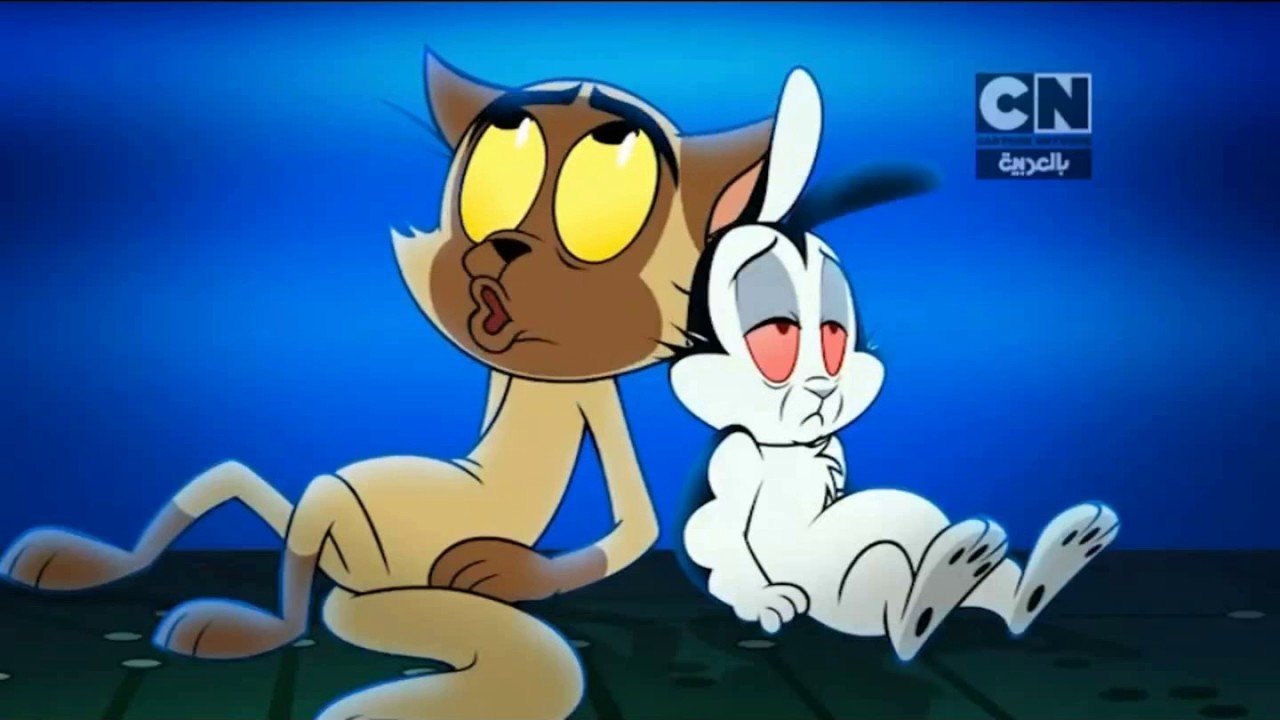 “ضحـك وفرفشة” استقبل تردد قناة كرتون نتورك بالعربية التحديث الجديد 2025 نايل سات واستمتع بمغامرات شيقة وممتعة هتفرح أولادك