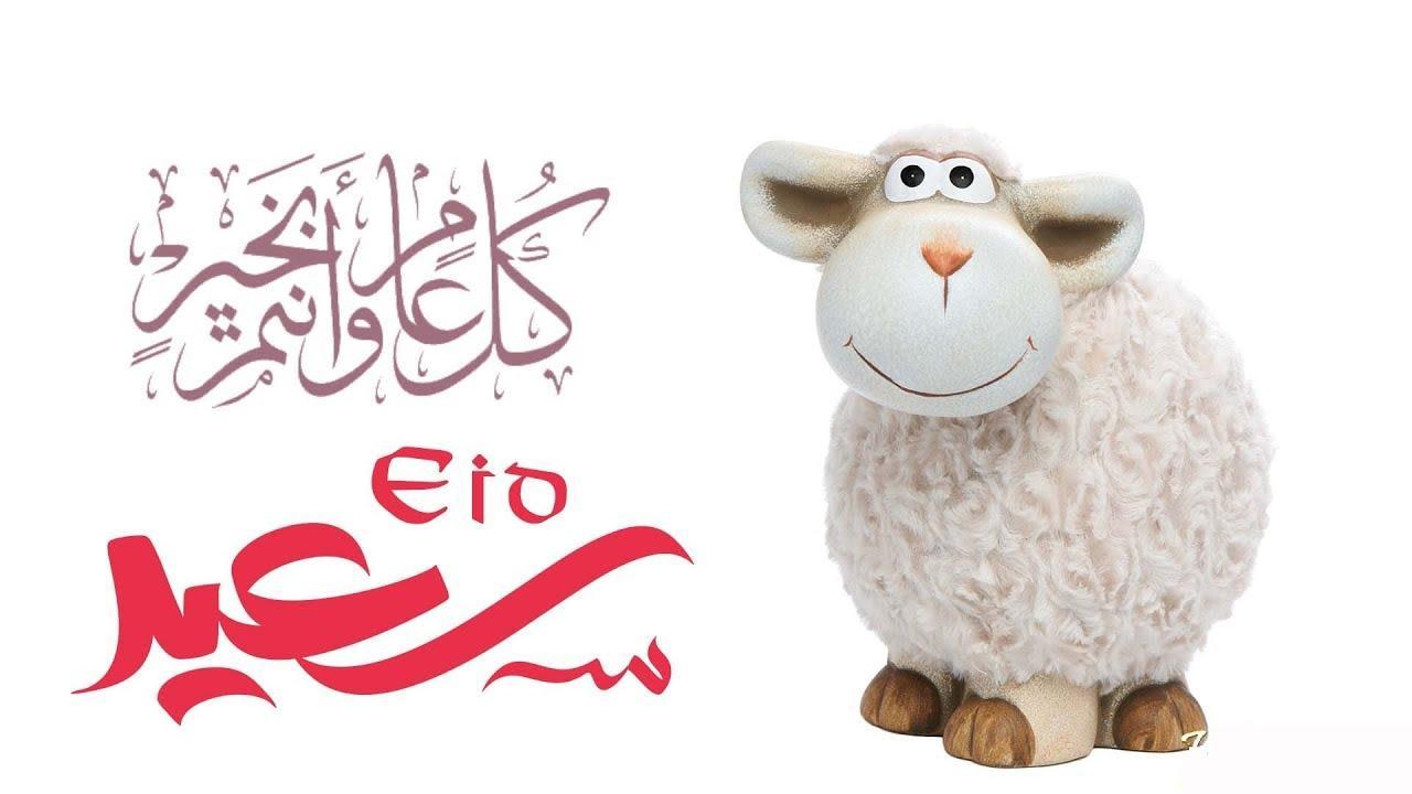 الله أكبر الله أكبر.. تردد قنوات تكبيرات عيد الأضحى المبارك 2025 لحظة بلحظة