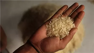 ارتفاع مفاجئ يصدم الجميع بشأن أخر تحديث لسعر الـ أرز اليوم في مصر .. أعرف وصل كام