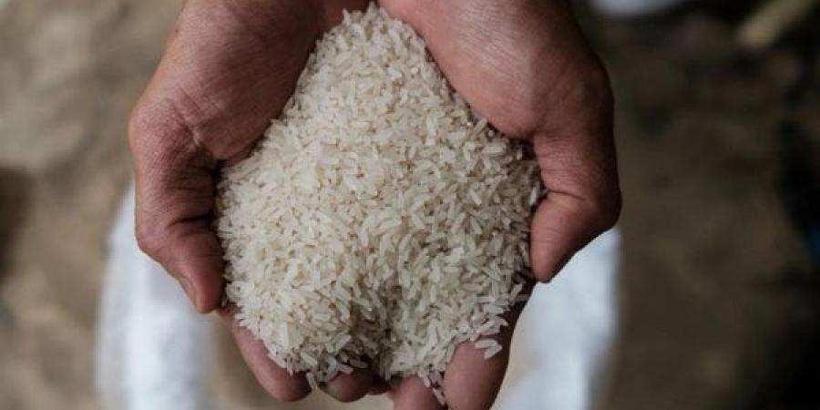 “الحقي خزني ياست الكل”مفاجأة غير متوقعة في سعر طن الأرز الشعير اليوم في مصر الأحد 18 مايو 2025 بجميع الاسواق