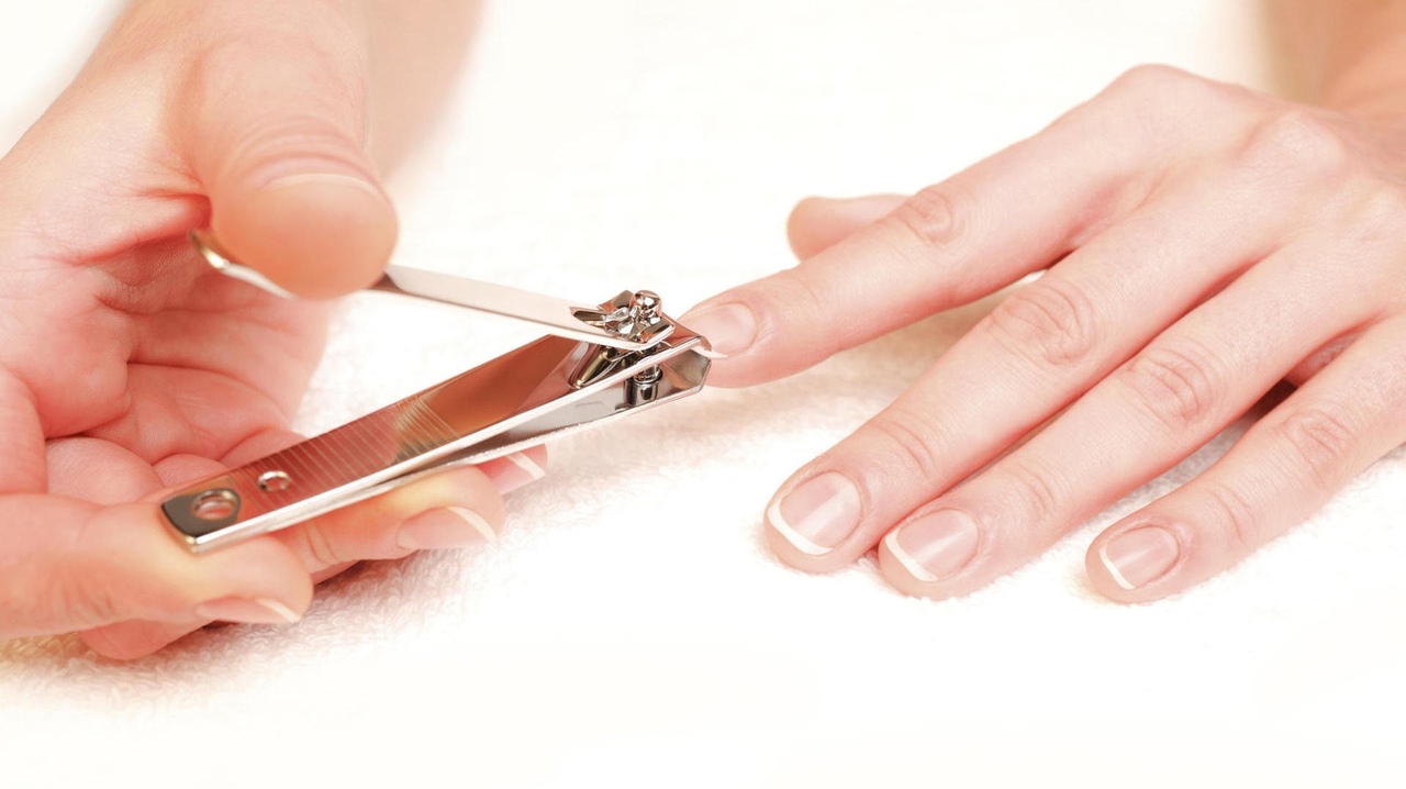 قصافة الأظافر قصافة الأظافر