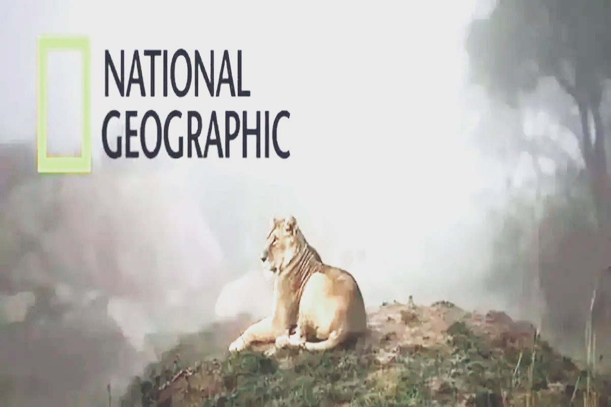 طريقة تبيت تردد قناة ناشيونال جيوغرافيك الجديد 2025 على القمر الصناعي